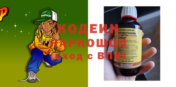 молекула духа Ладушкин