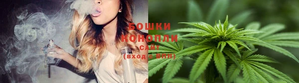 молекула духа Ладушкин