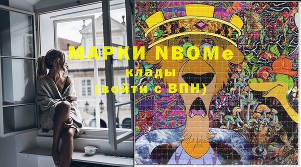 молекула духа Ладушкин