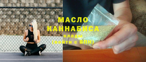 молекула духа Ладушкин