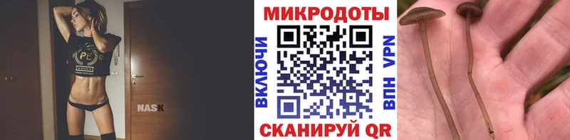 Псилоцибиновые грибы Magic Shrooms  Дубовка 